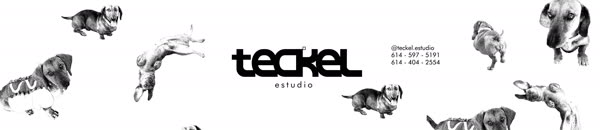 Teckel Estudio — identidad de marca